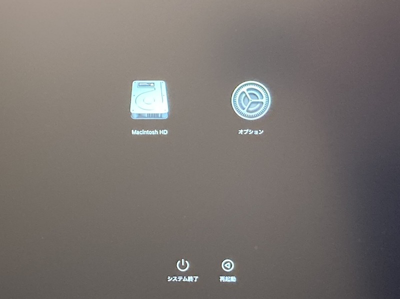 Apple Diagnostics起動オプション