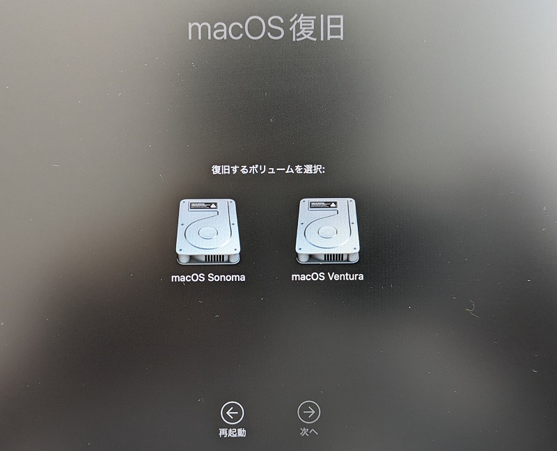 復旧するボリュームの選択