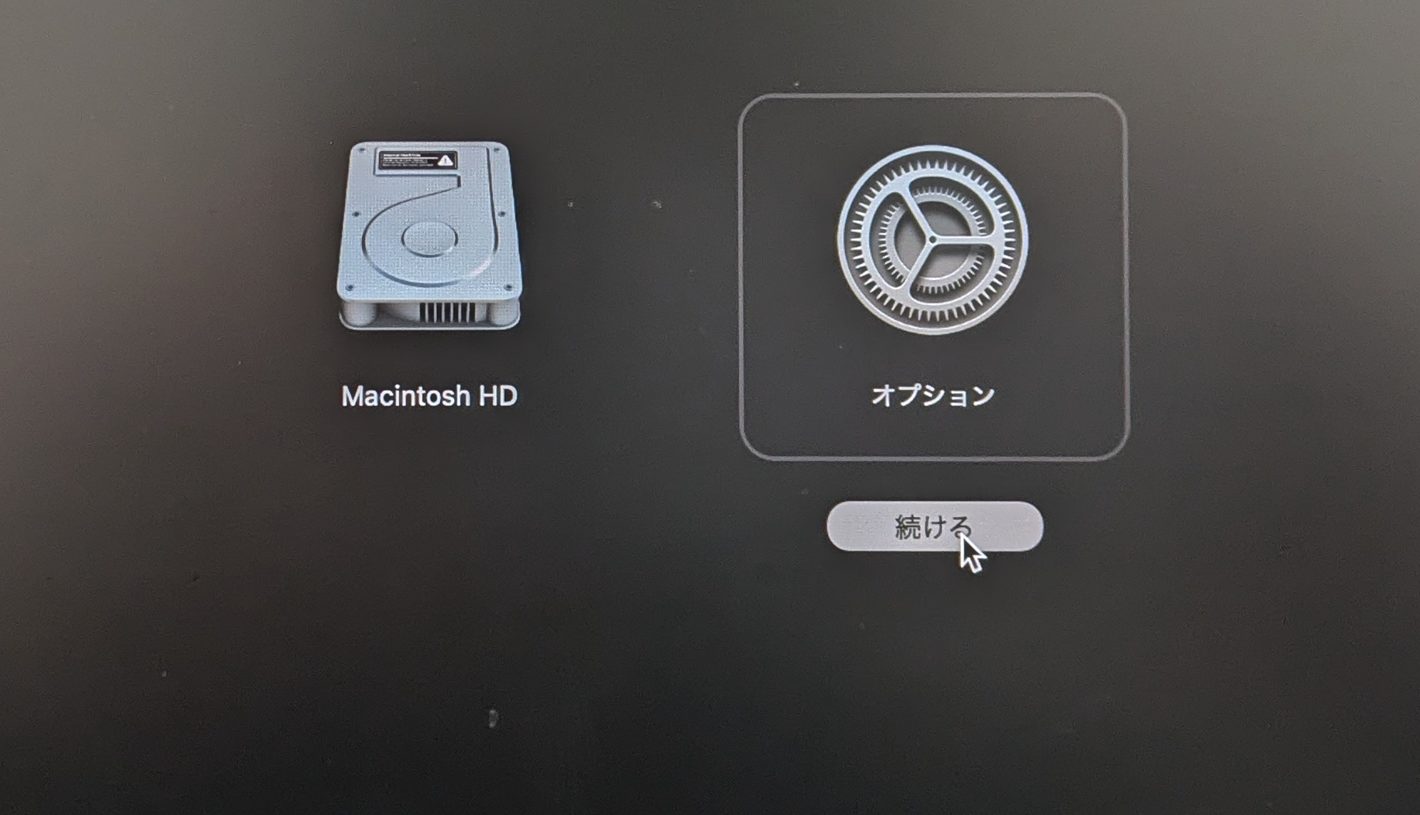 オプションを選択