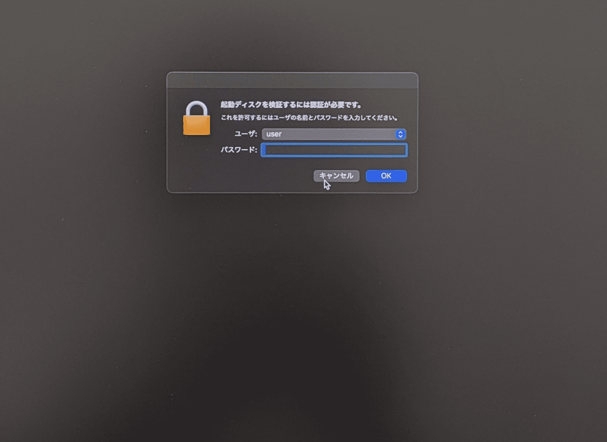 パスワードを入力