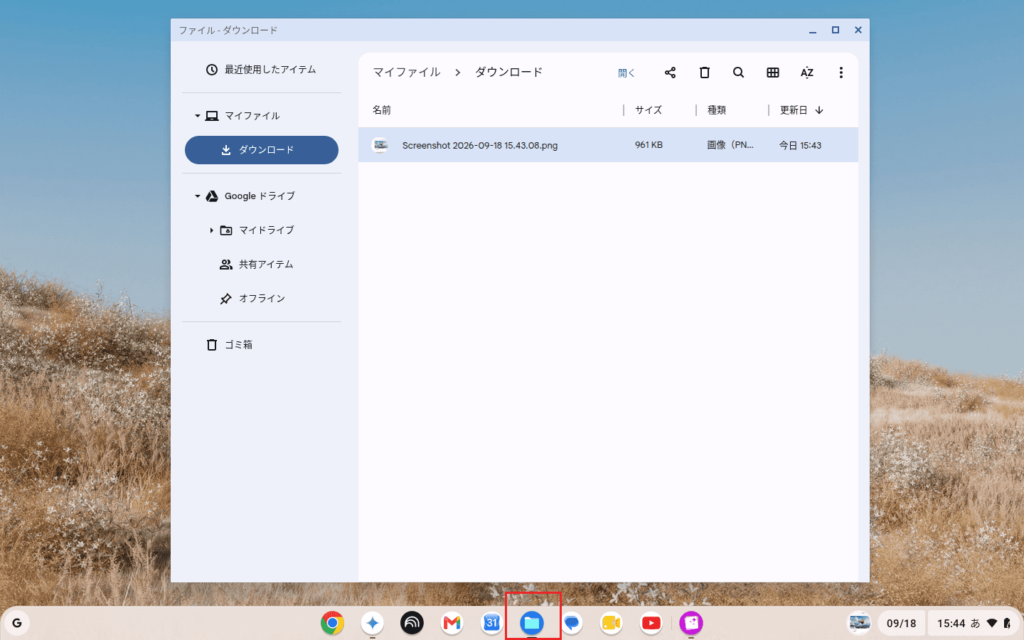 データの共有