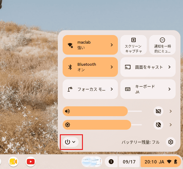 Chrome Flexを再起動