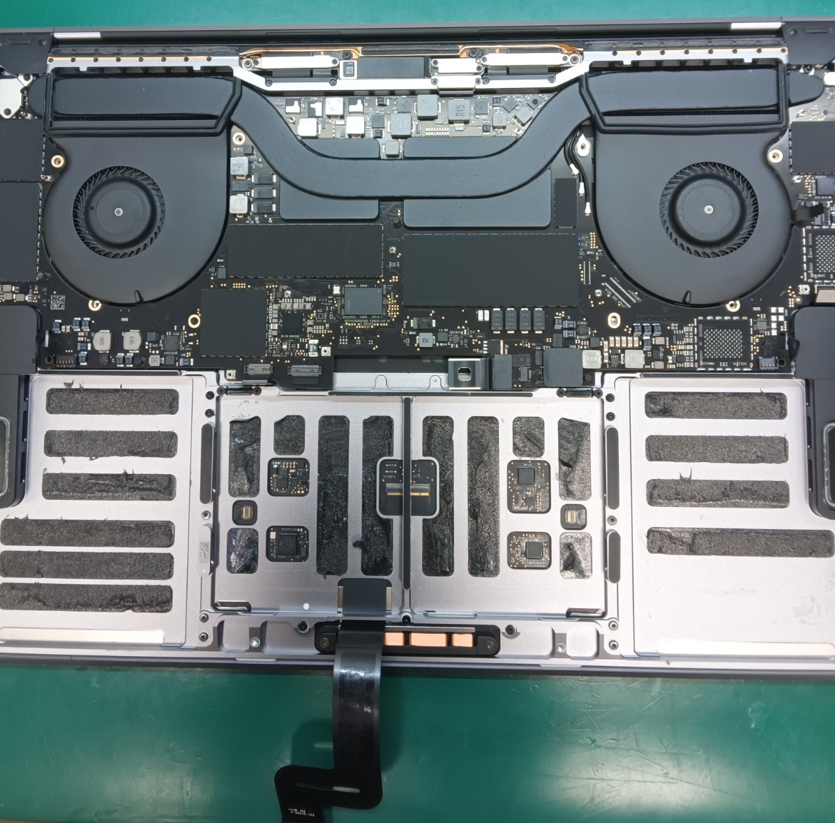 特殊工具を用いて安全に古いバッテリーを取り外します。