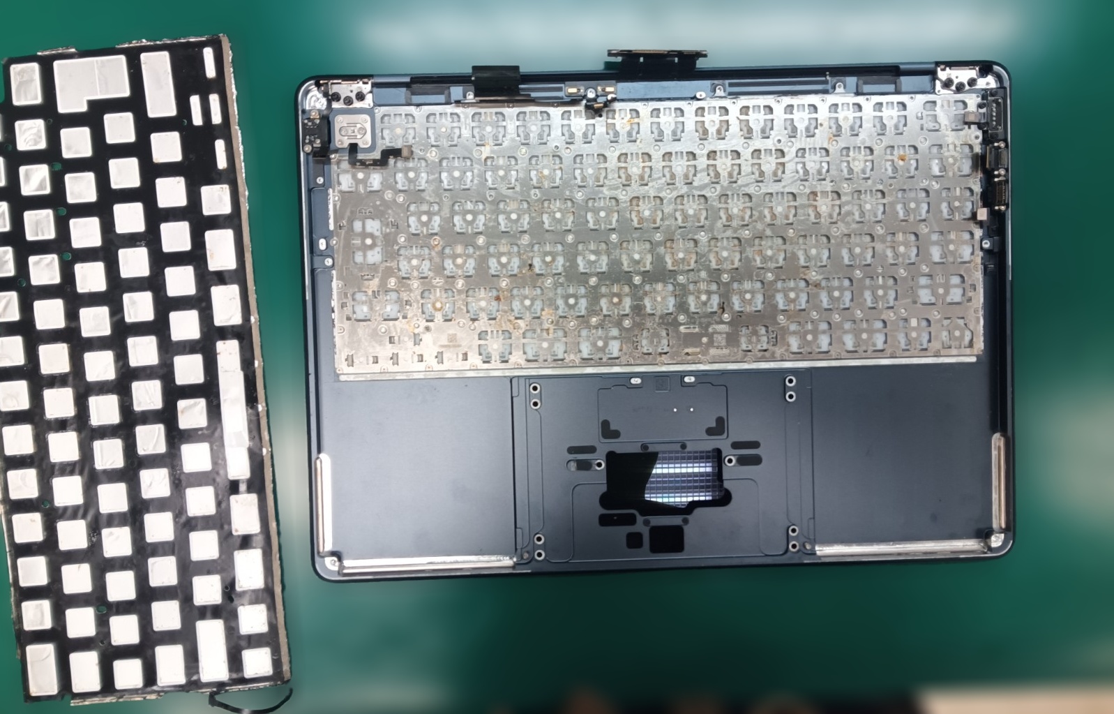 裏蓋を外し、キーボード背面の遮光シートや固定ネジを取り外していく工程